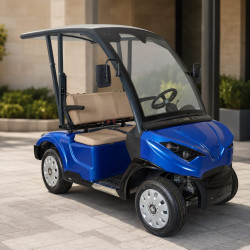 M2 - 2 Kişilik Golf Aracı