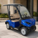 M2 - 2 Kişilik Golf Aracı