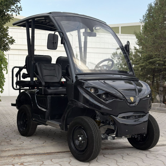 M2 - 2 Kişilik Golf Aracı